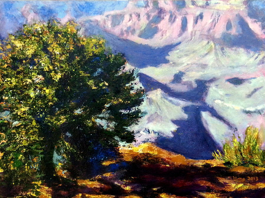 Grand Canyon 4 Painting by Uma Krishnamoorthy