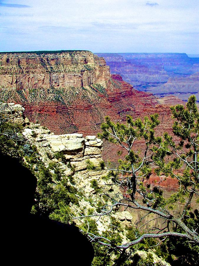 Grand Canyon 5 Photograph by Ricardo J Ruiz de Porras