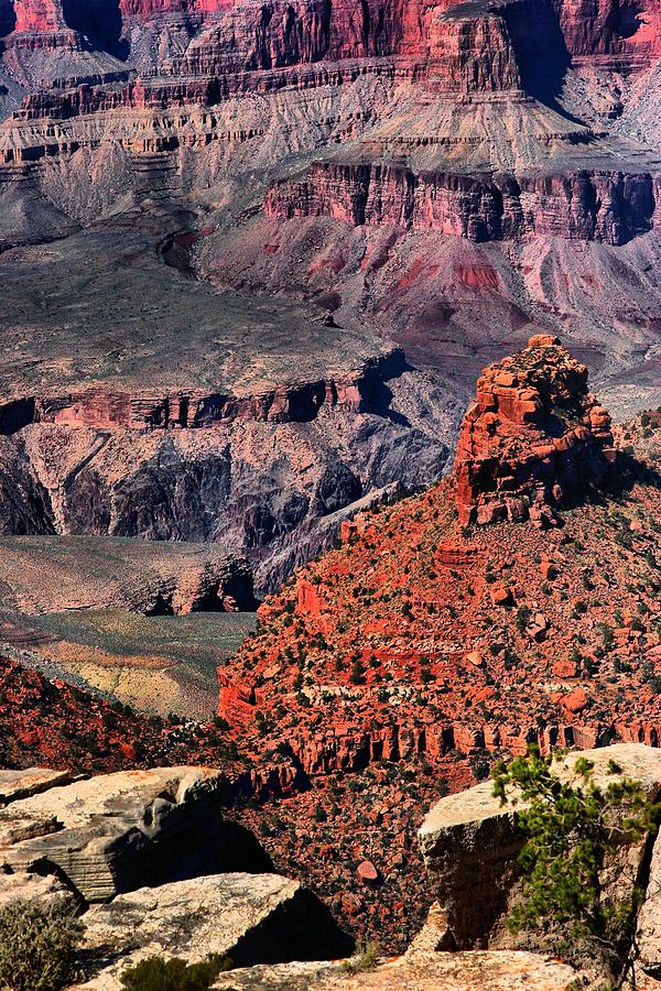 Grand Canyon 6 Photograph by Robert McCubbin