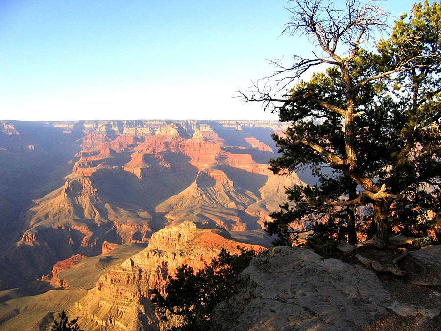 Grand Canyon 63 Photograph by Will Borden