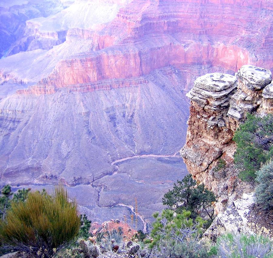 Grand Canyon 69 Photograph by Will Borden