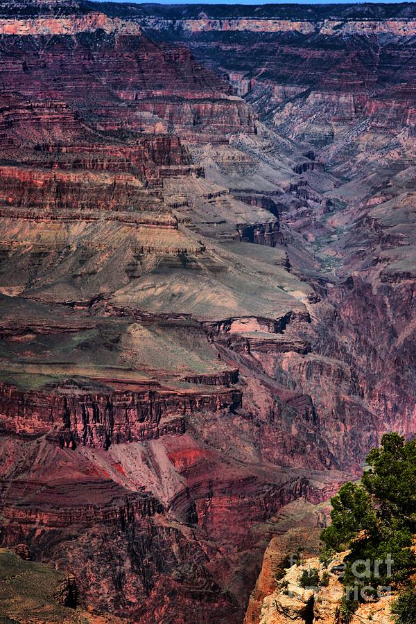 Grand Canyon 7 Photograph by Robert McCubbin