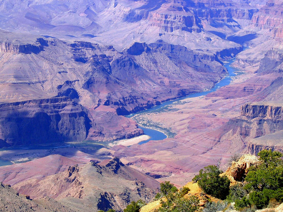 Grand Canyon 71 Photograph by Will Borden