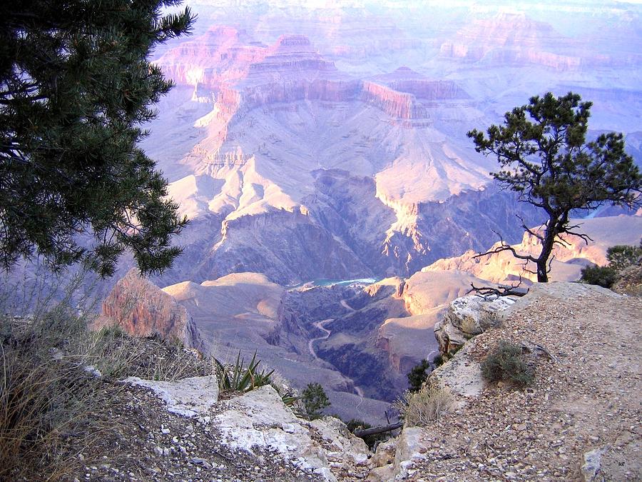 Grand Canyon 75 Photograph by Will Borden
