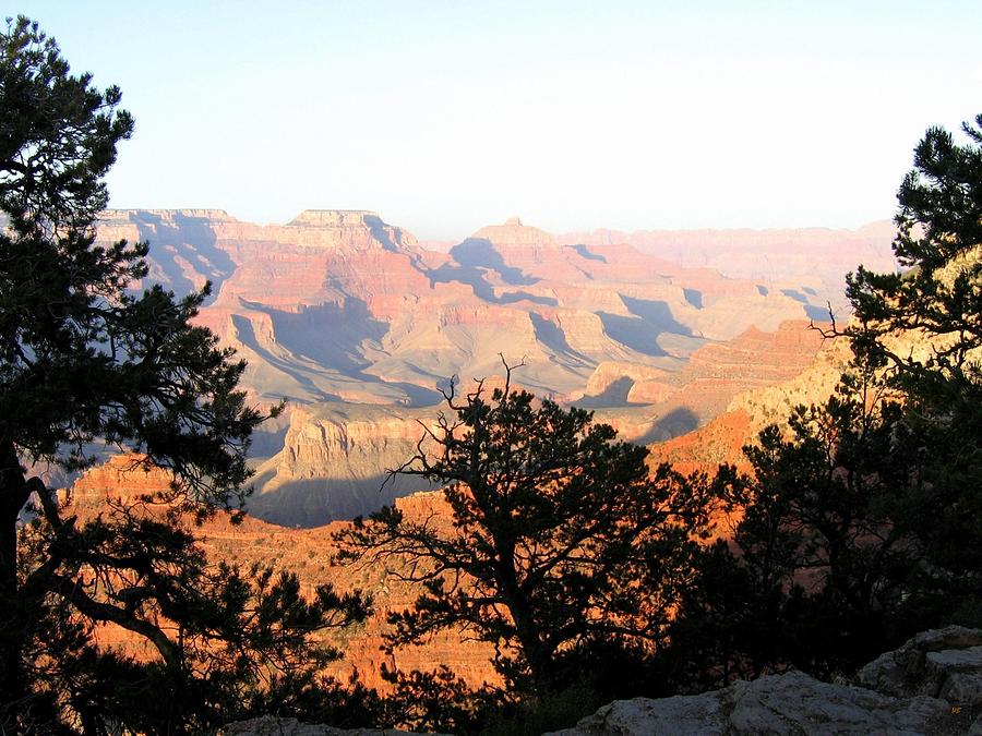 Grand Canyon 79 Photograph by Will Borden