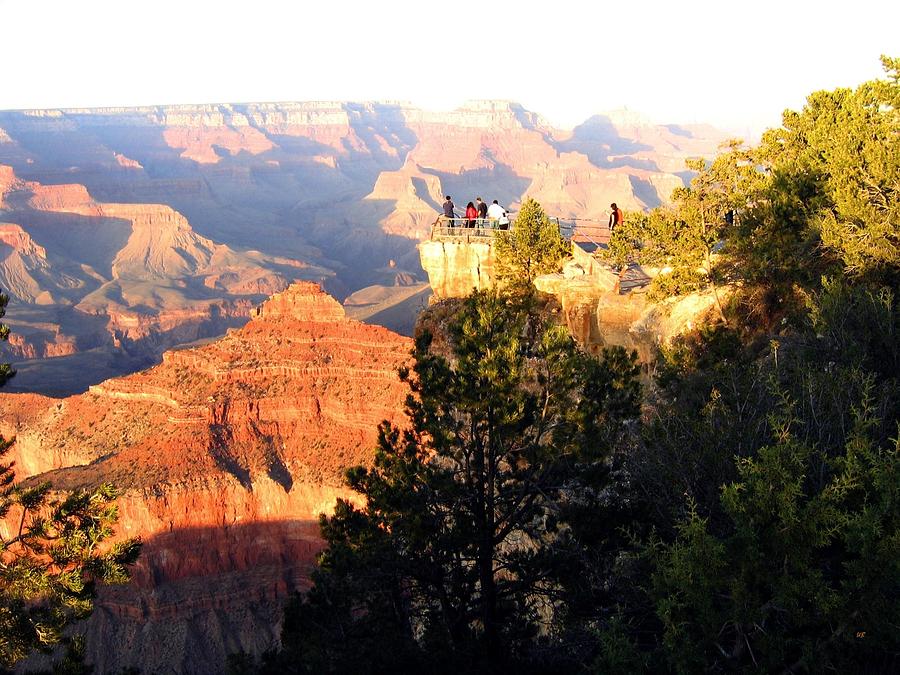 Grand Canyon 81 Photograph by Will Borden