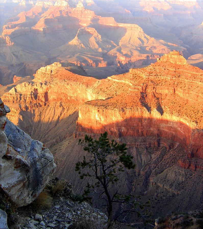 Grand Canyon 83 Photograph by Will Borden