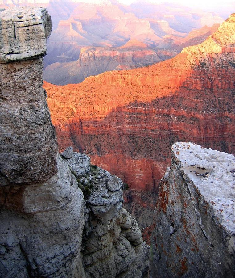 Grand Canyon 85 Photograph by Will Borden