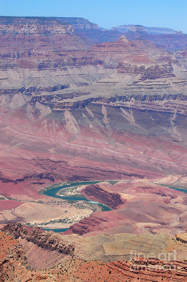 Grand Canyon and Colorado River Photograph by Debra Thompson