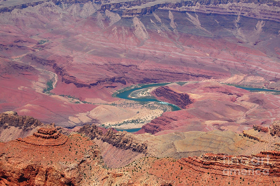 Grand Canyon and Curvy Colorado River Photograph by Debra Thompson