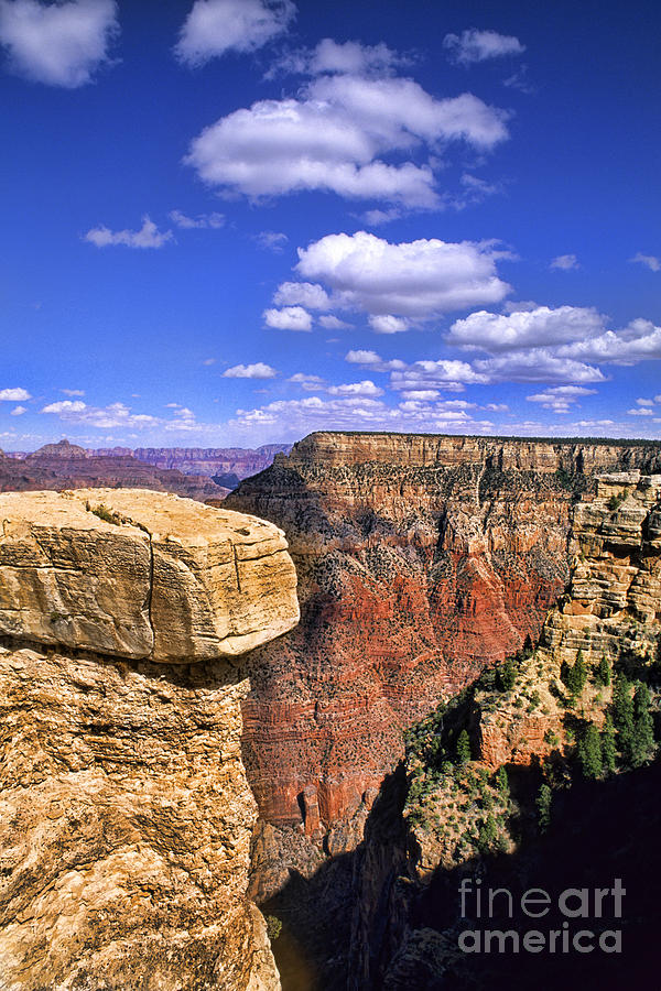 Grand Canyon, Arizona Photograph by Bill Bachmann