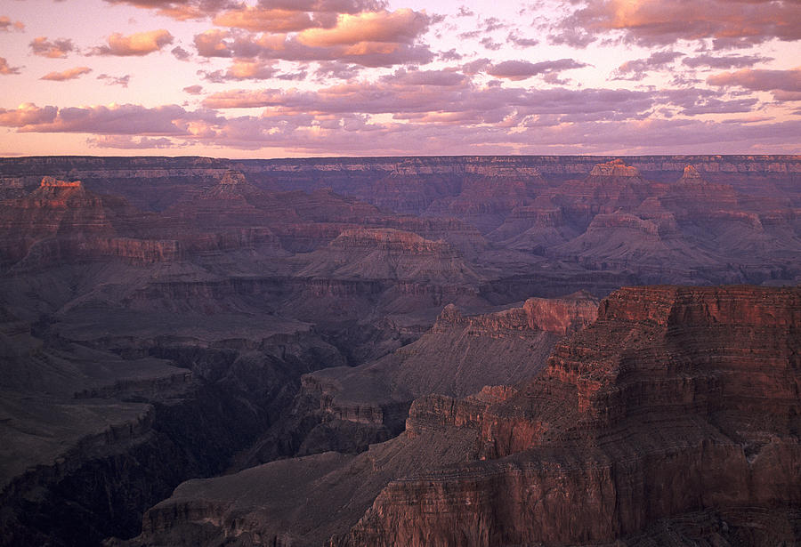 Grand Canyon at Sunset Photograph by Doug Davidson