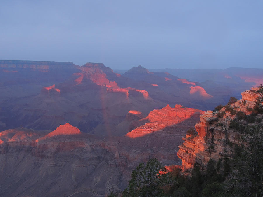 Grand Canyon at Sunset Photograph by Jayne Wilson