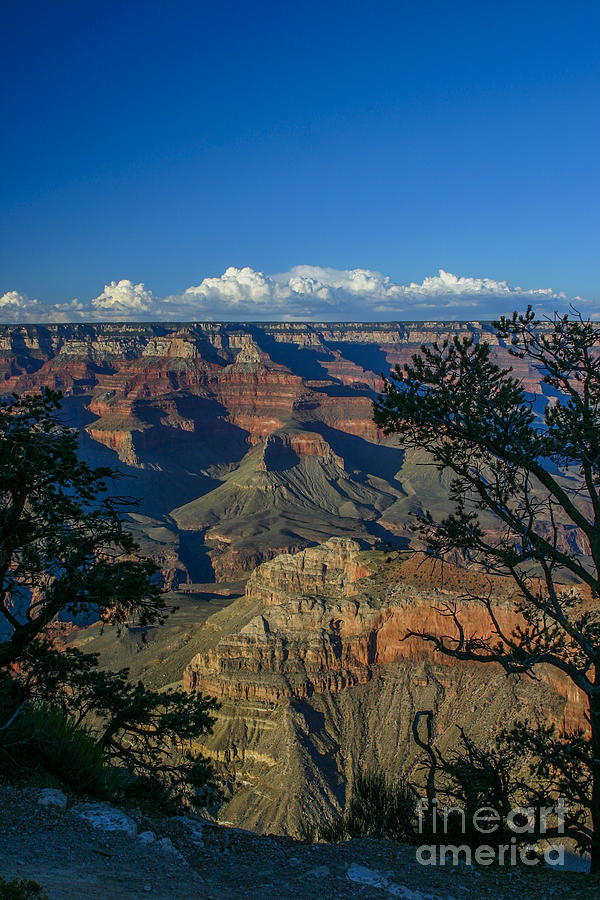 Grand Canyon at sunset Photograph by Patricia Hofmeester