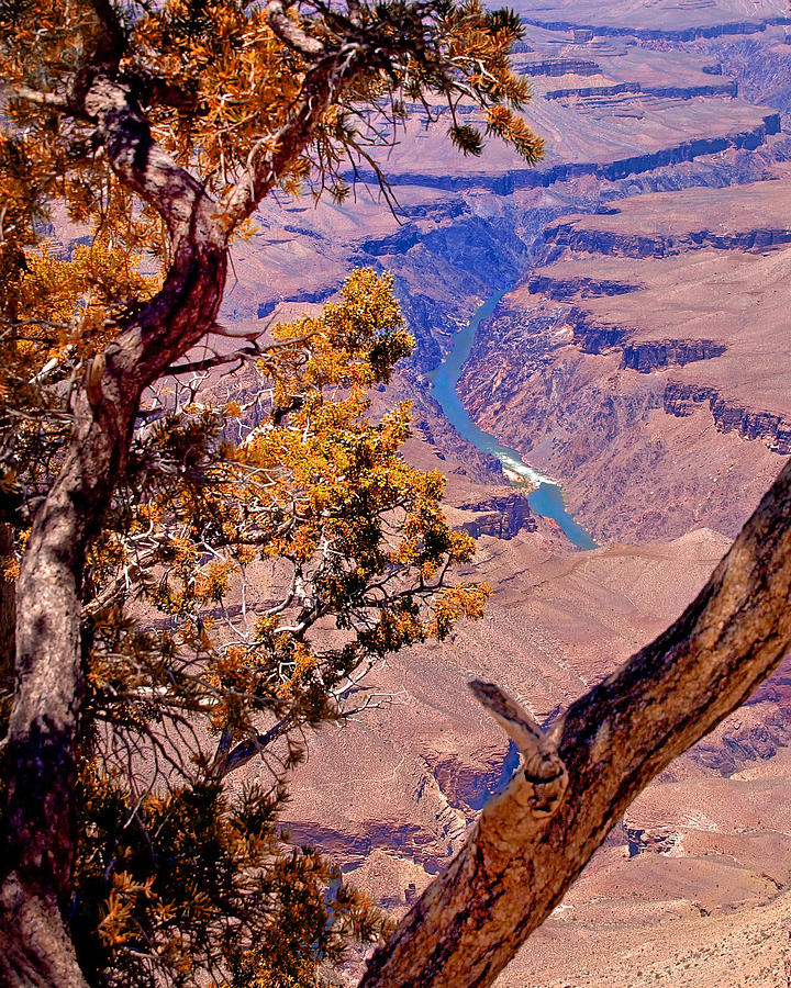 Grand Canyon Autumn Photograph by Wayne Wood - Fine Art America