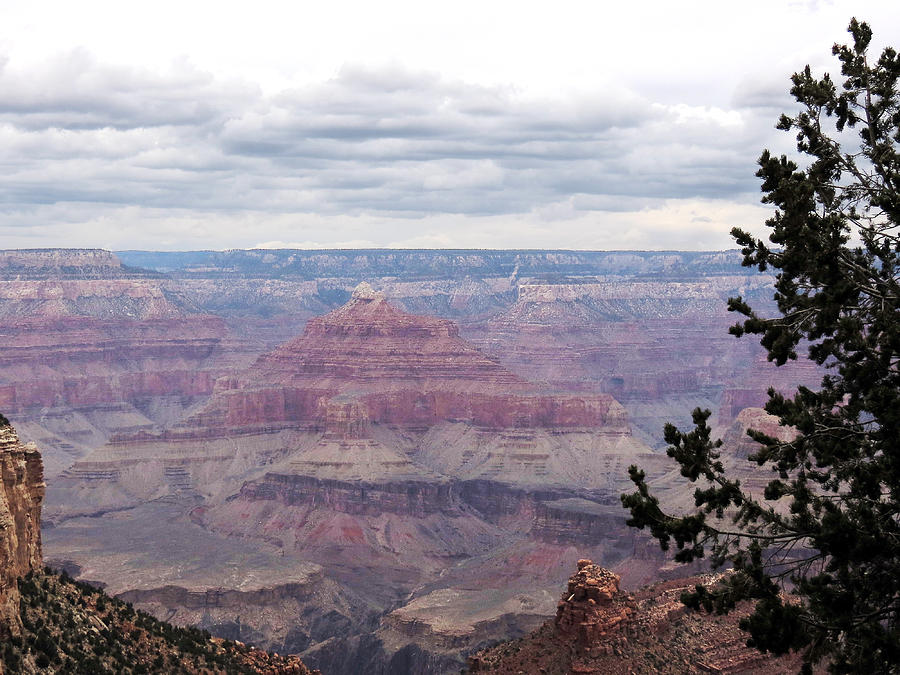 Grand Canyon Awaiting Snowstorm Photograph by Laurel Powell