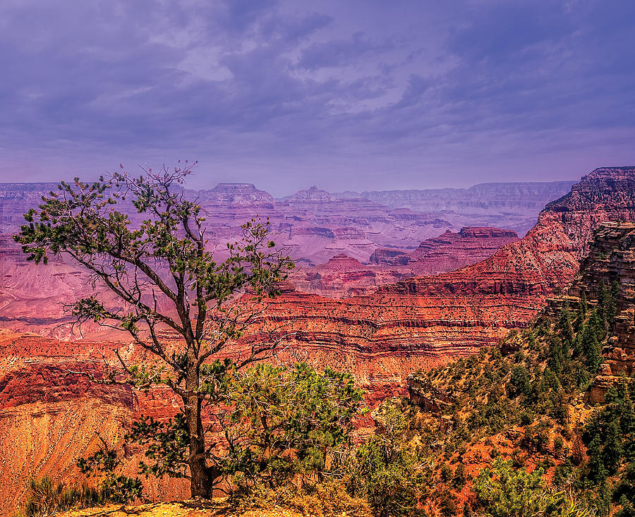Grand Canyon National Park Photograph - Grand Canyon  AZ USA by Ludmila Nayvelt