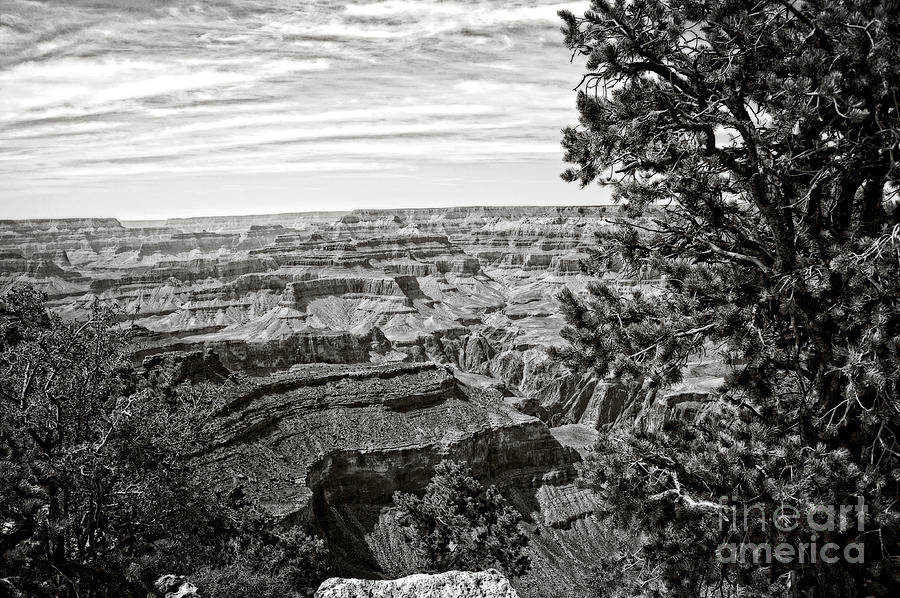 Grand Canyon Black and White Photograph by Lee Craig