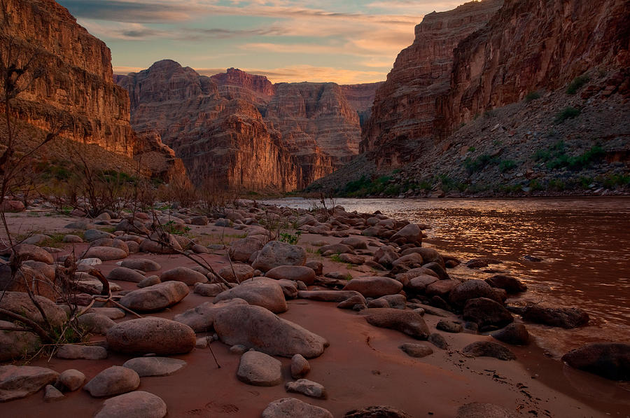 Grand Canyon Bottom Photograph by Darren Bradley