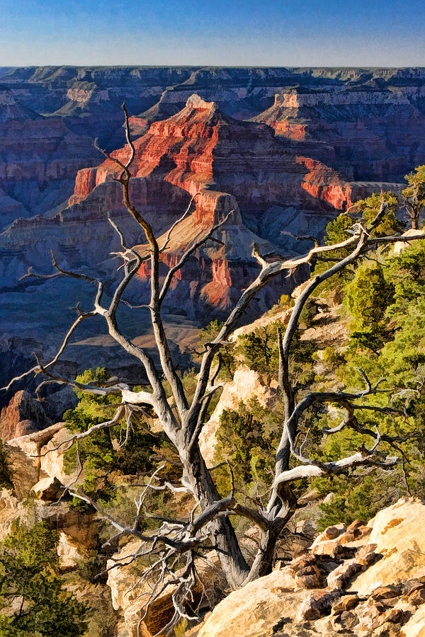Grand Canyon Branches Painting by Christopher Arndt