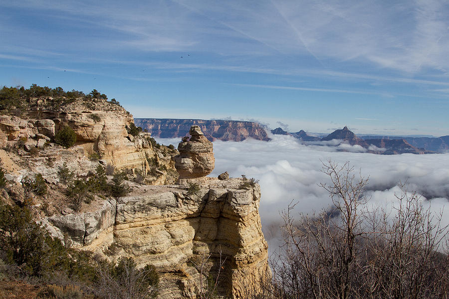 Grand Canyon National Park Photograph - Grand Canyon  by Chris Wallace