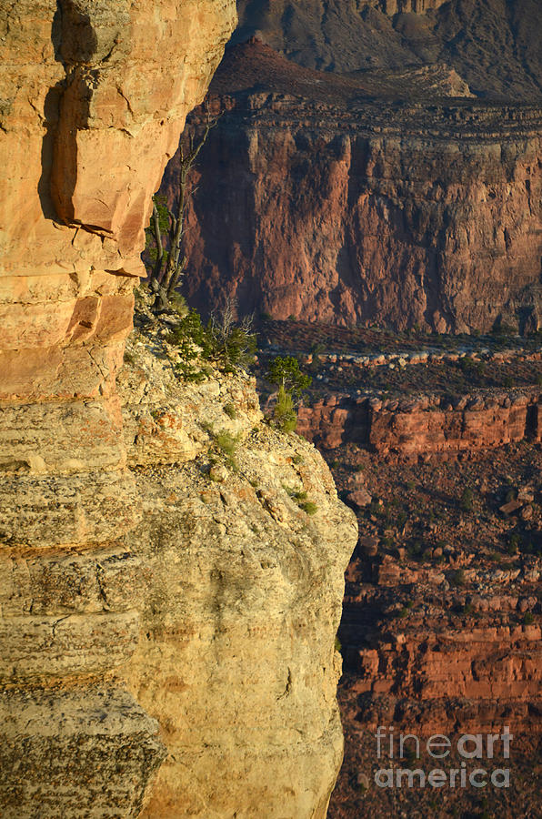 Grand Canyon National Park Photograph - Grand Canyon Cliff Background Vertical by Shawn OBrien