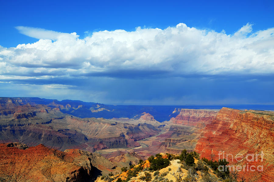 Grand Canyon National Park Photograph - Grand Canyon Desert View by Vivian Christopher