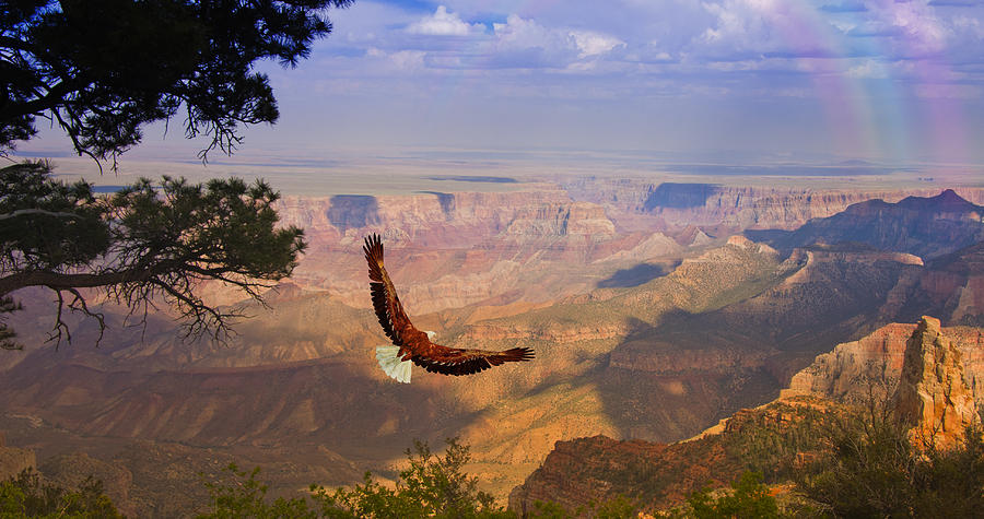Grand Canyon Eagle Digital Art by Bruce Rolff