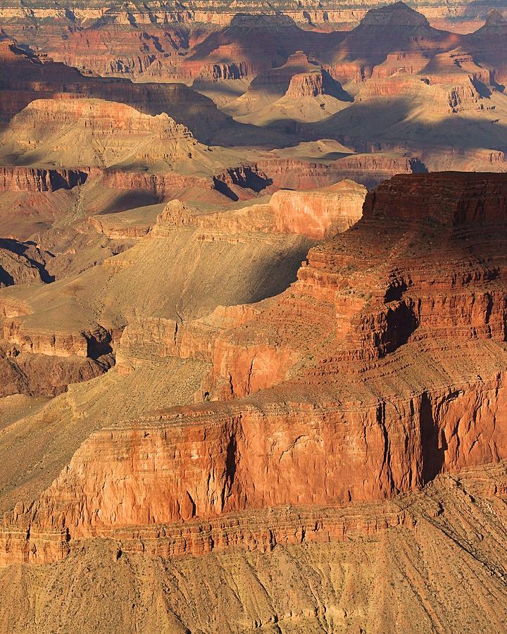 Grand Canyon Photograph by Elizabeth Budd