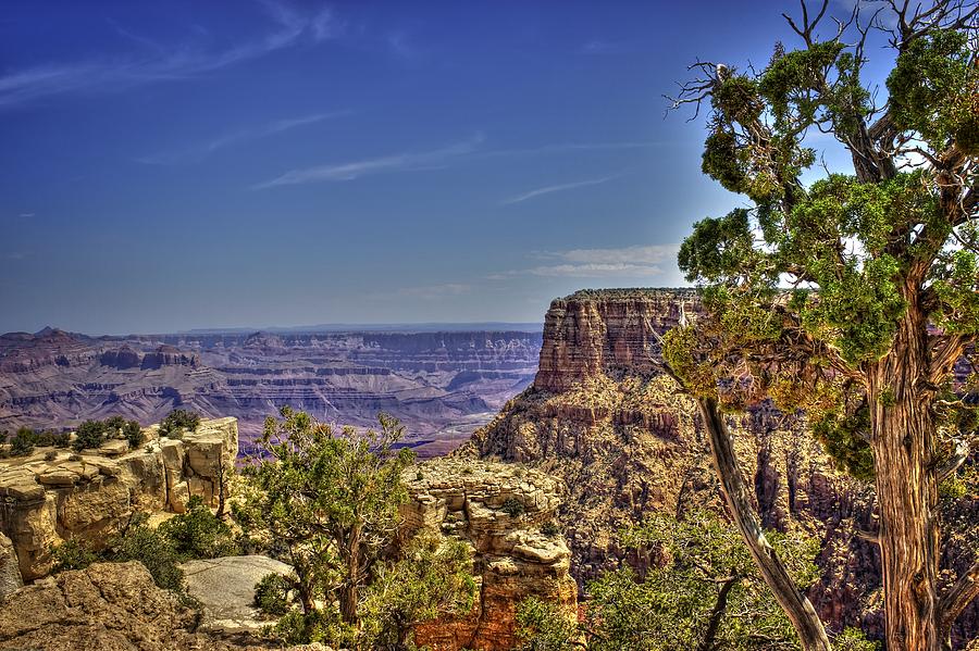 Grand Canyon Photograph by Fred Hahn