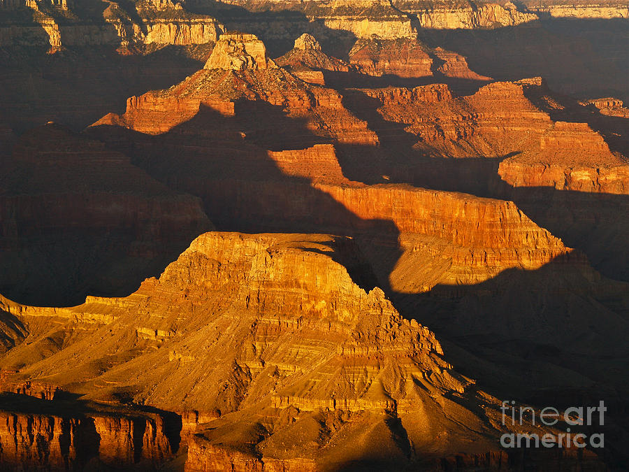 Grand Canyon Glow Photograph by Alex Cassels