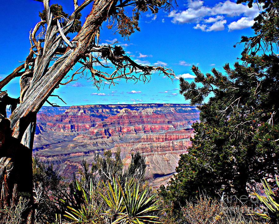 Grand Canyon HD Photograph by Patrick Witz