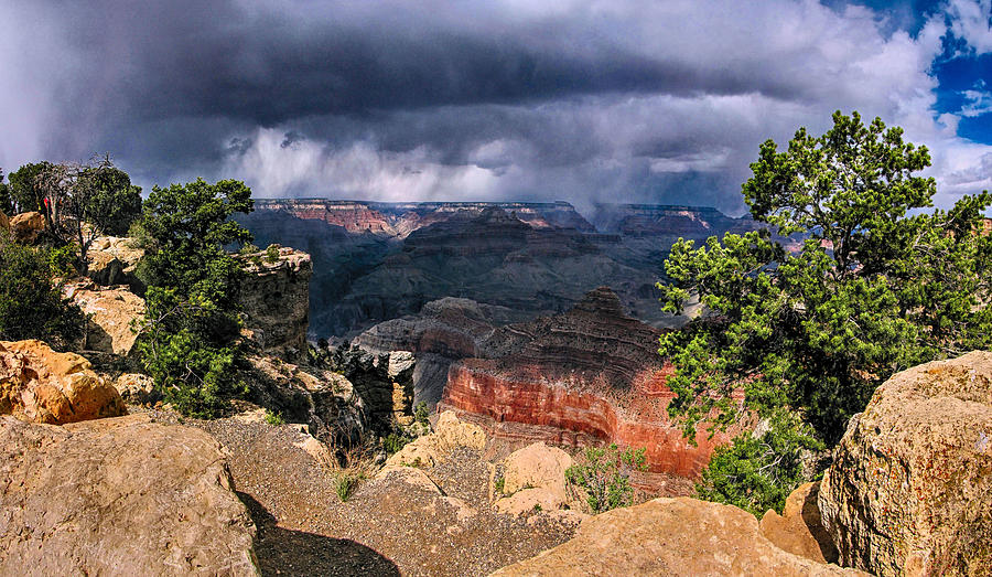 Grand Canyon II Photograph by C H Apperson