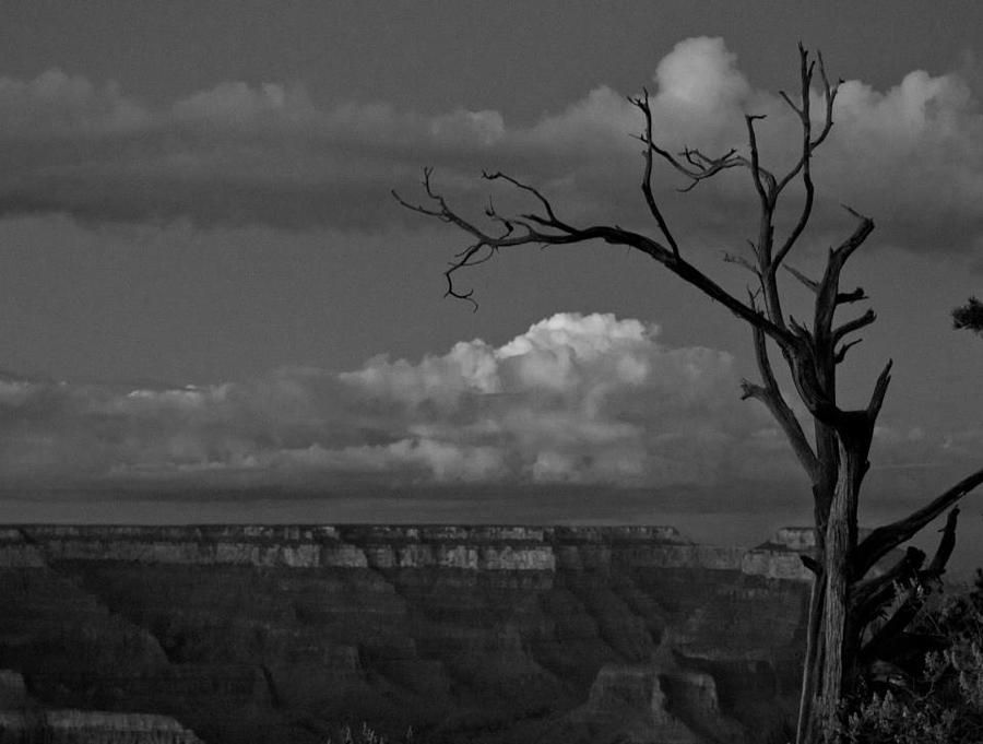 Grand Canyon National Park Photograph - Grand Canyon in Black and White by Kathleen Odenthal