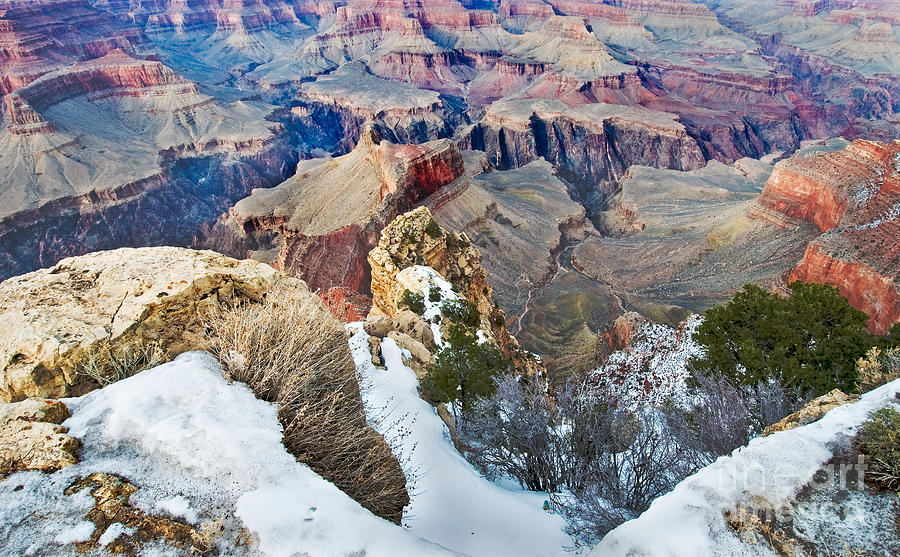 Grand Canyon Photograph - Grand Canyon in February by Mae Wertz