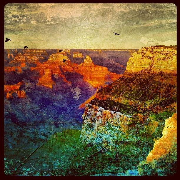 Nature Photograph - Grand Canyon by Jill Battaglia