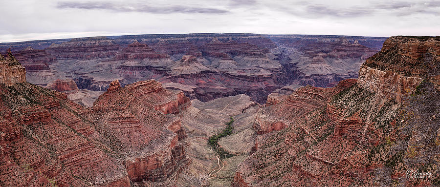 Grand Canyon Photograph by Joe Granita