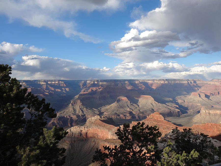 Grand Canyon National Park Photograph - Grand Canyon by Katherine Strickland