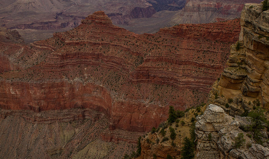 Grand Canyon National Park Photograph - Grand Canyon by Kathleen Odenthal