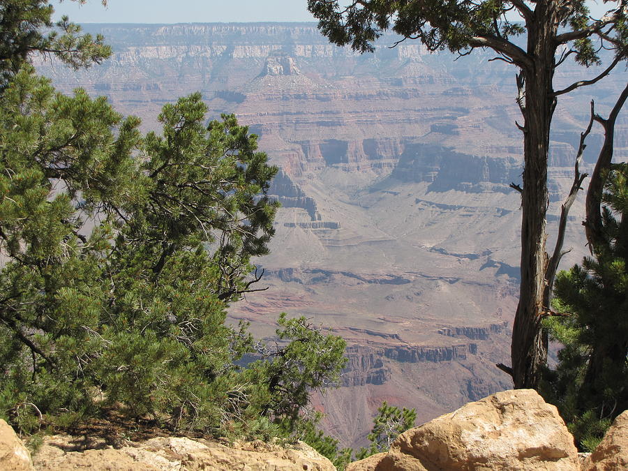 Grand Canyon National Park Photograph - Grand Canyon by Larry Enger
