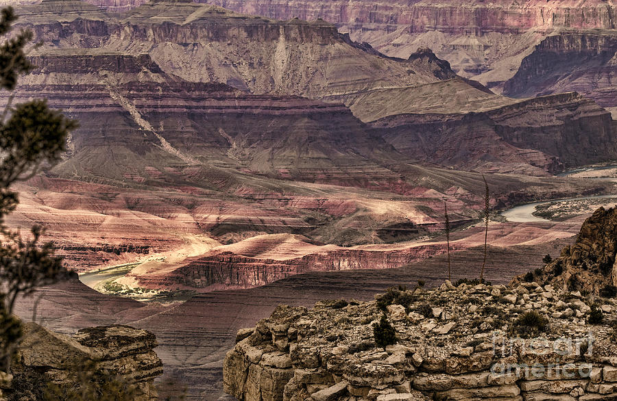 Grand Canyon Layers Photograph by Chuck Kuhn