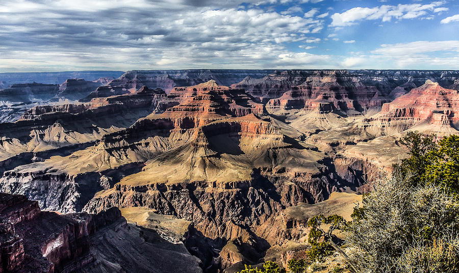 Grand Canyon Photograph by Lori Figueroa | Fine Art America