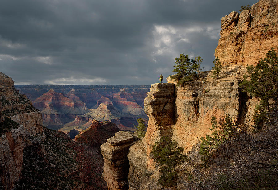 Grand Canyon National Park, Bright Photograph by Ed Freeman