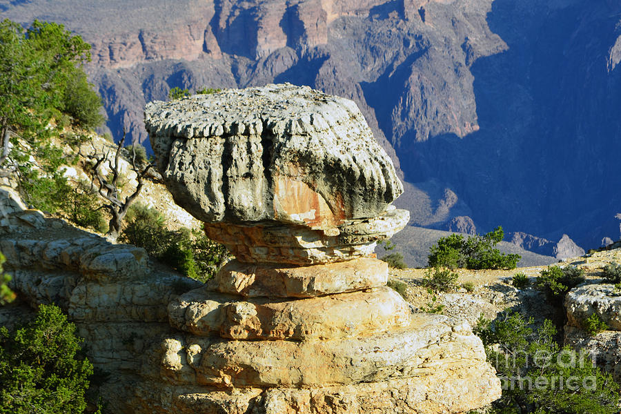 Grand Canyon National Park Cap Rock Photograph by Shawn OBrien