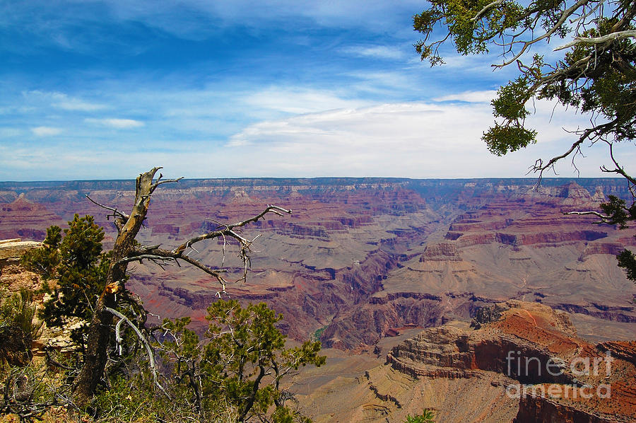 Grand Canyon National Park Photograph by Debra Thompson