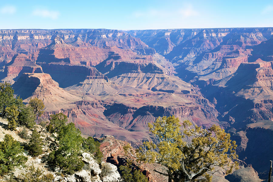 Grand Canyon National Park Photograph by Kingwu