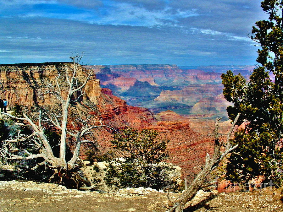 Grand Canyon National Park Photograph by Marilyn Smith