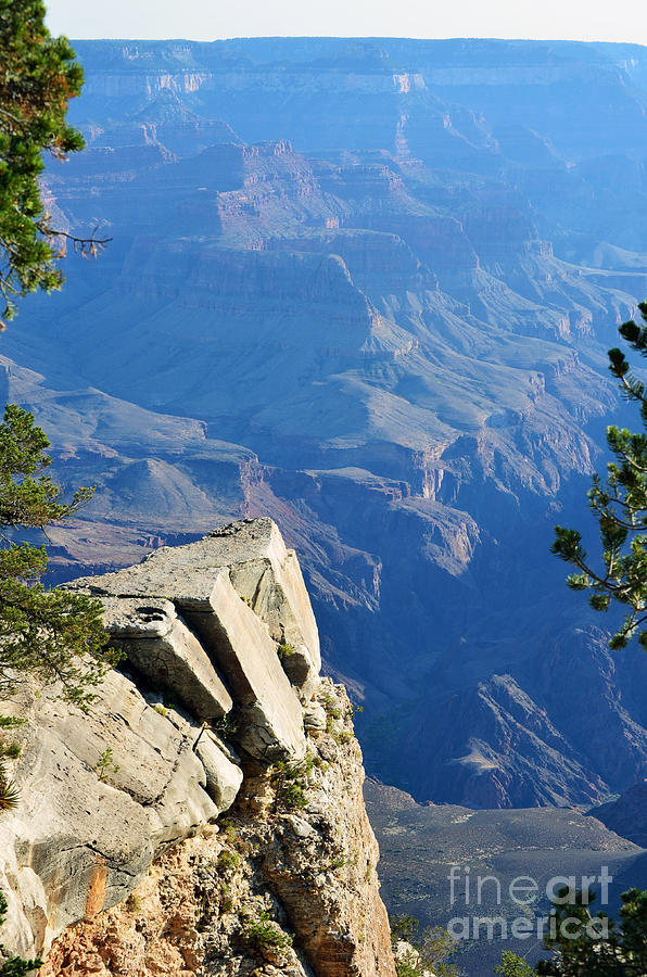 Grand Canyon National Park Photograph - Grand Canyon National Park South Rim Overlook Vertical by Shawn OBrien