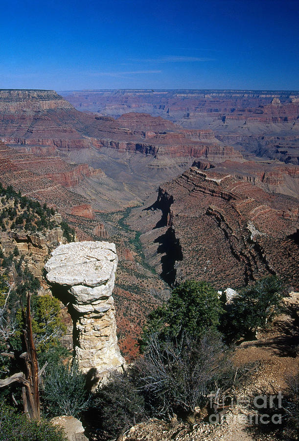 Grand Canyon Near Mather Point Photograph by Gregory G. Dimijian, M.D.