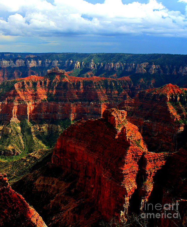 Grand Canyon National Park Photograph - Grand Canyon North Rim 3 by John Langdon